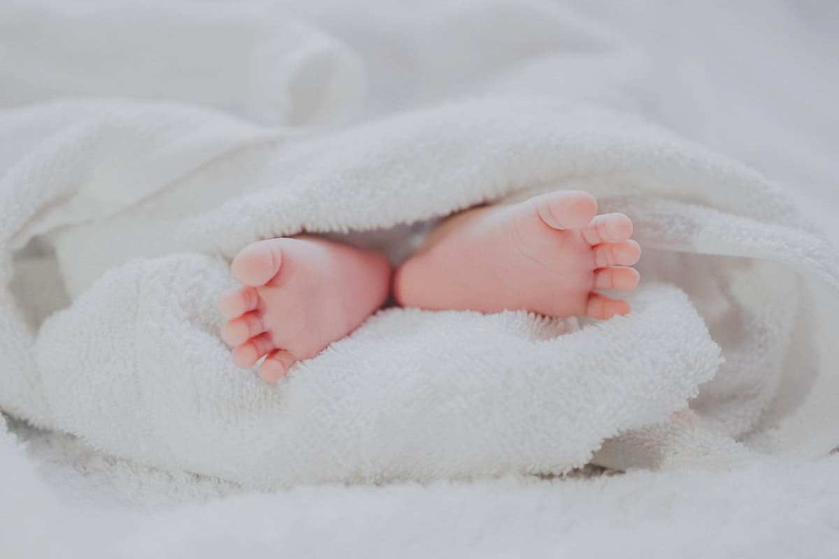 Bebés