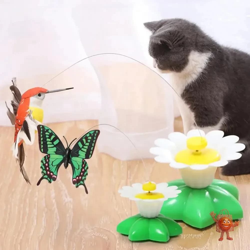El juguete eléctrico de mariposa que volvió loca a mi gata