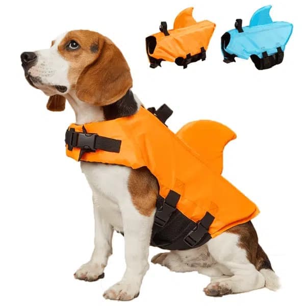 Chaleco salvavidas para perro