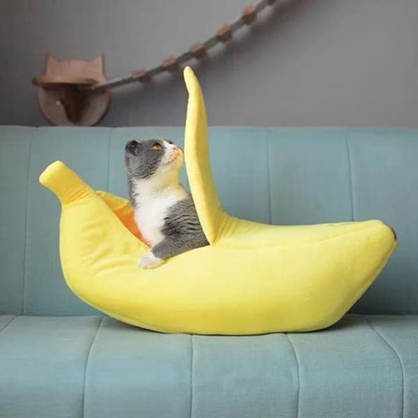 Cama de gato plátano