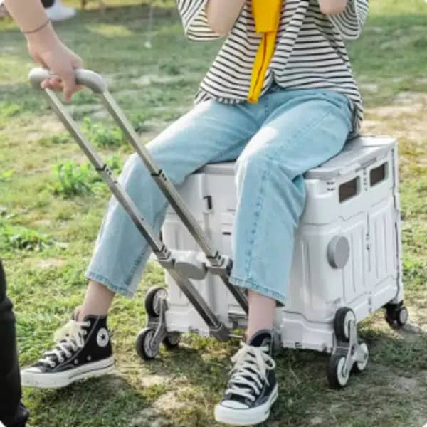 Carrito de compras plegable